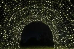 44' Walk Through Tunnel - LED - Warm White -Twinkly Trees Shop 3d warch 4 ww 2 5