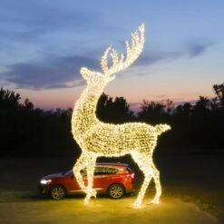 24' Deer -Twinkly Trees Shop dji 0036