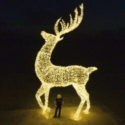 24' Deer -Twinkly Trees Shop dji 0055 copy