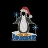 Penguin With Hat On Iceberg