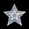 3D Aluminum Star With Glitter Mesh Insert