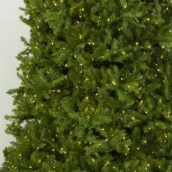 12' Indoor LED McKenzie Noble Fir Christmas Tree - Warm White 8 12' Indoor LED McKenzie Noble Fir Christmas Tree - Warm White -Twinkly Trees Shop t it 12 1213 ww 4