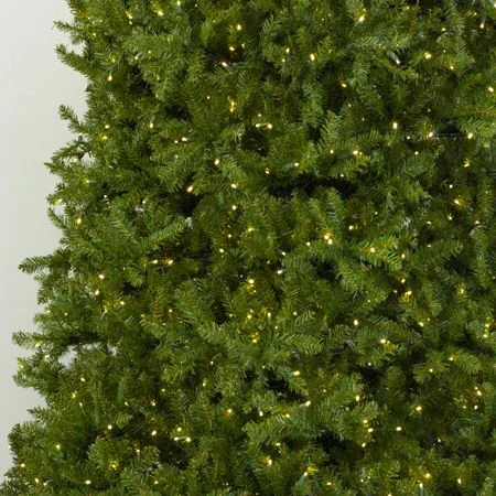 12' Indoor LED McKenzie Noble Fir Christmas Tree - Warm White 3 12' Indoor LED McKenzie Noble Fir Christmas Tree - Warm White - Image 3