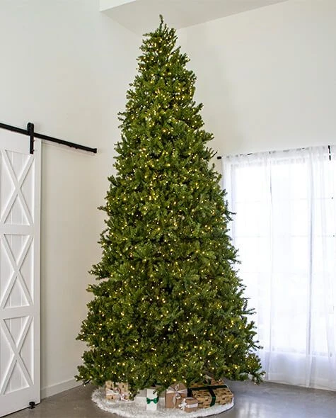 12' Indoor LED McKenzie Noble Fir Christmas Tree - Warm White 1 12' Indoor LED McKenzie Noble Fir Christmas Tree - Warm White