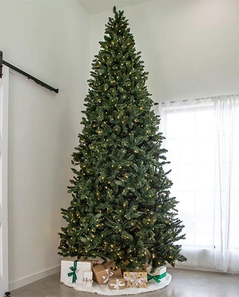 12' Indoor LED Oregon Grand Fir Christmas Tree - Warm White 1 12' Indoor LED Oregon Grand Fir Christmas Tree - Warm White
