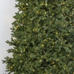 12' Indoor LED Sacred Fir Christmas Tree - Warm White -Twinkly Trees Shop t it 12 1224 ww 3