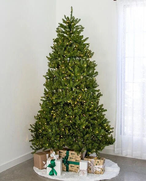 7.5' Indoor LED McKenzie Noble Fir Christmas Tree - Warm White 1 7.5' Indoor LED McKenzie Noble Fir Christmas Tree - Warm White