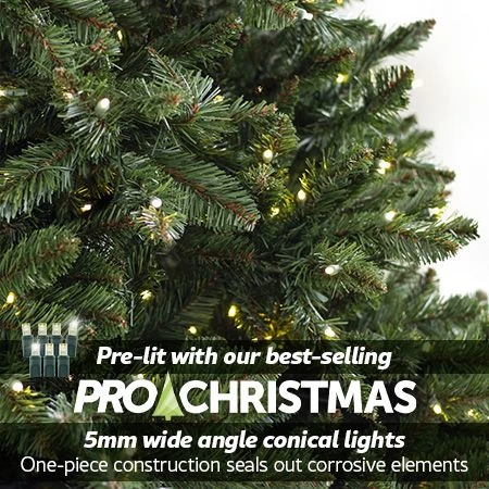 9' Indoor LED Oregon Grand Fir Christmas Tree - Warm White 2 9' Indoor LED Oregon Grand Fir Christmas Tree - Warm White - Image 2