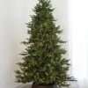 7.5' Indoor LED Mixed Foxtail Pine Christmas Tree - Warm White