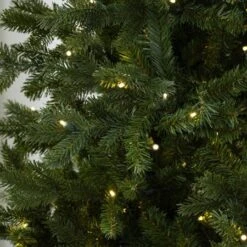 7.5' Indoor LED Sacred Fir Christmas Tree - Warm White -Twinkly Trees Shop t it 75 1222 ww 3