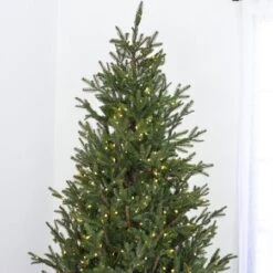 7.5' Indoor LED Upswept Norway Spruce Christmas Tree - Warm White 8 7.5' Indoor LED Upswept Norway Spruce Christmas Tree - Warm White -Twinkly Trees Shop t it 75 1225 ww 2