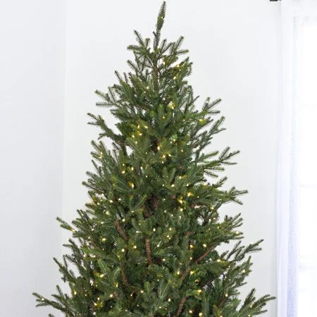 7.5' Indoor LED Upswept Norway Spruce Christmas Tree - Warm White 3 7.5' Indoor LED Upswept Norway Spruce Christmas Tree - Warm White - Image 3