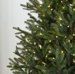 7.5' Indoor LED Upswept Norway Spruce Christmas Tree - Warm White 9 7.5' Indoor LED Upswept Norway Spruce Christmas Tree - Warm White -Twinkly Trees Shop t it 75 1225 ww 3