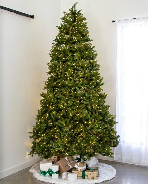 9' Indoor LED McKenzie Noble Fir Christmas Tree - Warm White 1 9' Indoor LED McKenzie Noble Fir Christmas Tree - Warm White