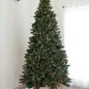 9' Indoor LED Oregon Grand Fir Christmas Tree - Warm White