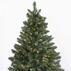 12' Indoor LED Oregon Grand Fir Christmas Tree - Warm White 8 12' Indoor LED Oregon Grand Fir Christmas Tree - Warm White -Twinkly Trees Shop t it 9 1216 ww 2