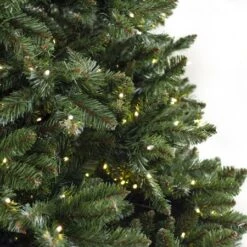 12' Indoor LED Oregon Grand Fir Christmas Tree - Warm White 9 12' Indoor LED Oregon Grand Fir Christmas Tree - Warm White -Twinkly Trees Shop t it 9 1216 ww 3a